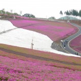 太田市北部運動公園