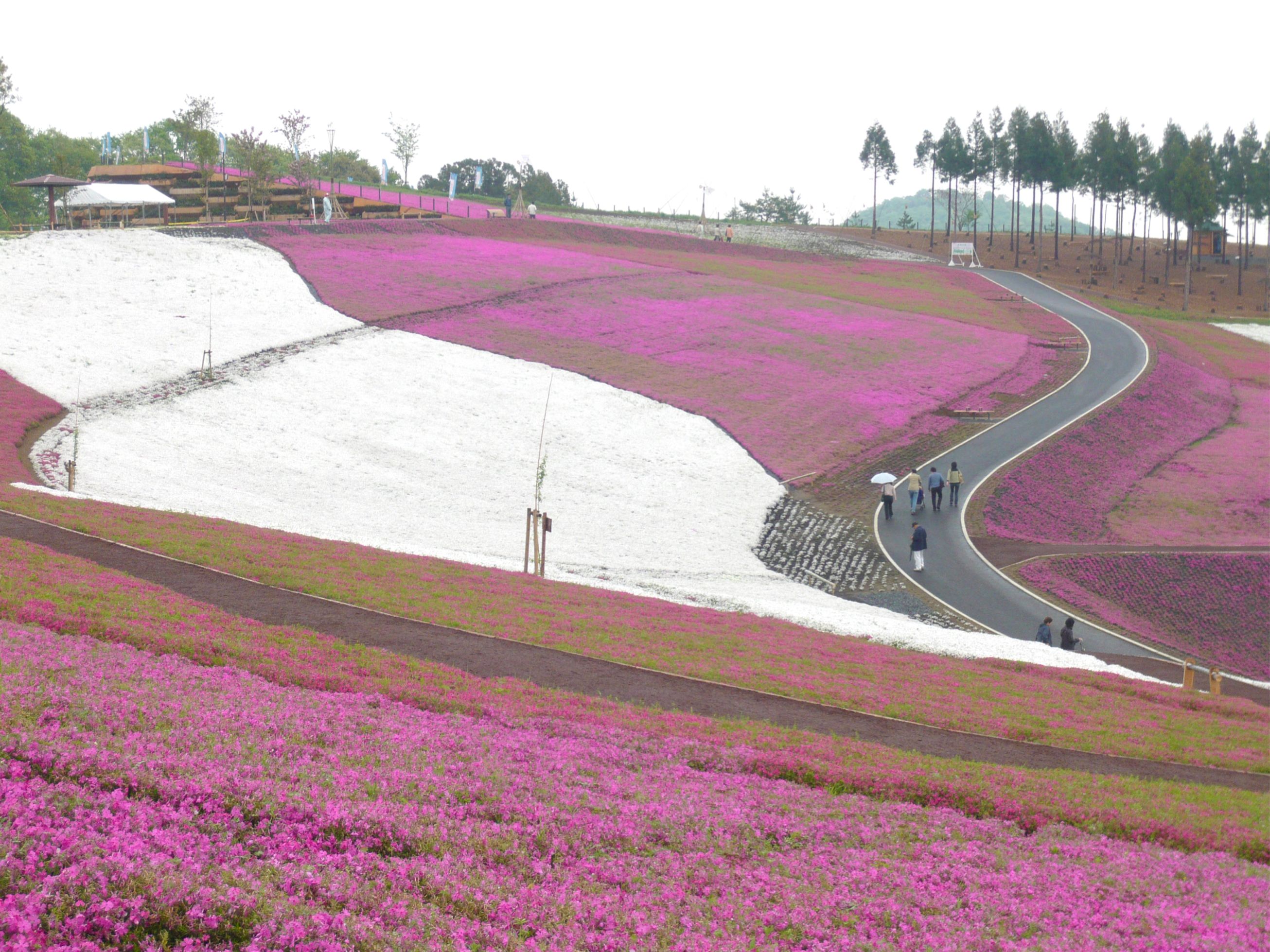 太田市北部運動公園